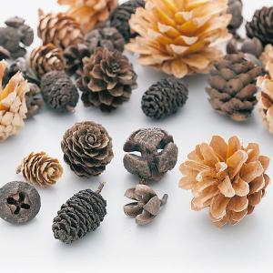 ドライフラワー 花材 即日出荷 コーンアソート...の詳細画像1