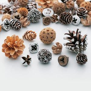 ドライフラワー 花材 即日出荷 コーンアソート...の詳細画像1