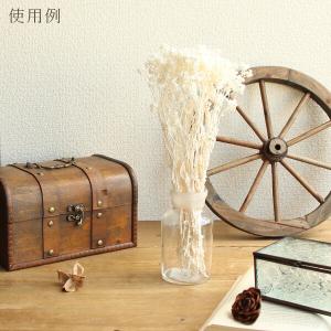 ドライフラワー 花材 即日出荷 クリスパム 白...の詳細画像4