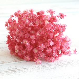 ドライフラワー 花材 即日出荷 【40%OFF...の詳細画像1