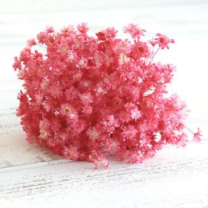 ドライフラワー 花材 即日出荷 【40%OFF...の詳細画像2