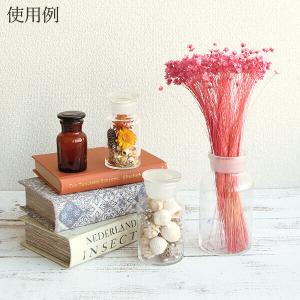 ドライフラワー 花材 即日出荷 【40%OFF...の詳細画像4