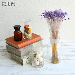 ドライフラワー 花材 即日出荷 スターフラワー...の詳細画像4