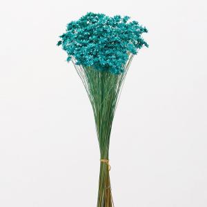 ドライフラワー 花材 即日出荷 スターフラワー・ブロッサム ターコイズブルー 花材 素材 材料 パーツ 青 ブルー ドライフラワー スワッグ ブーケ 大地農園