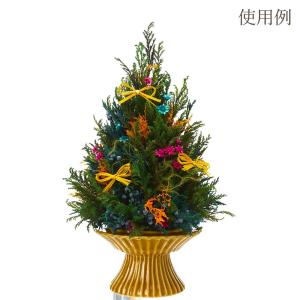 ドライフラワー 花材 即日出荷 スターフラワー...の詳細画像4