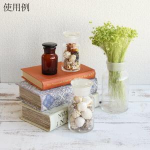ドライフラワー 花材 即日出荷 スターフラワー...の詳細画像4