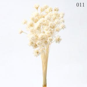 ドライフラワー 花材 即日出荷 ミニコーンフラ...の詳細画像1