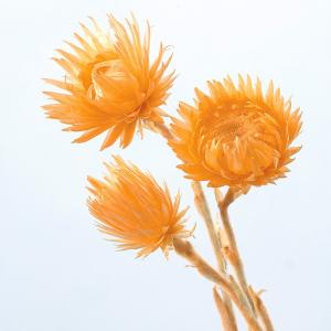 ハンドメイドフラワー 花材 即日出荷 アネモネフラワー オレンジ 素材