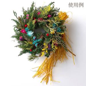 ドライフラワー 花材 即日出荷 ミニシルバーデ...の詳細画像3
