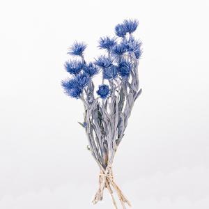ドライフラワー 花材 即日出荷 ミニシルバーデージー コバルトブルー ドライフラワー スワッグ ブーケ ドライフラワー花束 リース アレンジ 花材 大地農園