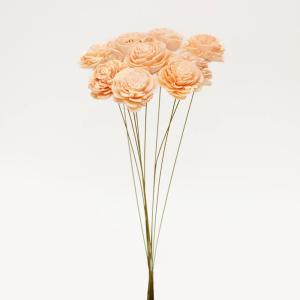ハンドメイドフラワー 花材 即日出荷 ソーラーローズ 小 シャーベットピーチ 花材 素材 材料 パーツ ソラフラワー ハンドメイドフラワー ピンク 大地農園