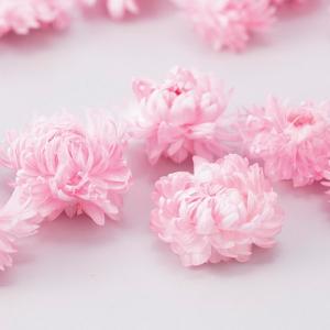 ドライフラワー 花材 即日出荷 ヘリクリサム・...の詳細画像1