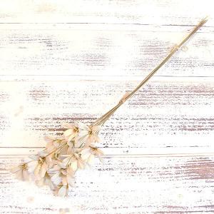 ハンドメイドフラワー 花材 即日出荷 プチフラワー 白 ドライフラワー ハンドメイドフラワー スワッグ ブーケ ドライフラワー花束 かわいい お得 大地農園