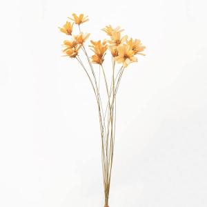 ハンドメイドフラワー 花材 即日出荷 【50%OFF】 期間限定特価 プチフラワー クリーム ドライフラワー ハンドメイドフラワー スワッグ ブーケ 花 大地農園