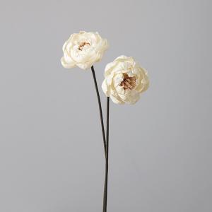 【P10倍中 4/20 9:59迄】 ハンドメイドフラワー 花材 即日出荷 ソーラーピオニー(1束2本) 白 ドライフラワー ソーラー ハンドメイドフラワー 花 大地農園