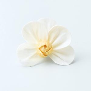 【P10倍中 4/20 9:59迄】 ハンドメイドフラワー 花材 即日出荷 ソーラーコチョウラン ホワイトイエロー 花材 素材 材料 パーツ ソラフラワー 白 大地農園