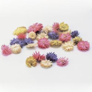 【P10倍中 4/20 9:59迄】 ドライフラワー 花材 即日出荷 チーゼルフラワー ピンクミックス ドライフラワー スワッグ ブーケ ドライフラワー花束 大地農園