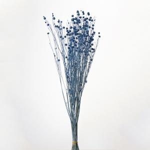 ドライフラワー 花材 即日出荷 ポアプランツ ネイビー 素材 材料