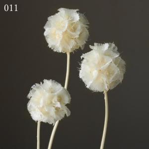 ドライフラワー 花材 即日出荷 ステルンクーゲ...の詳細画像2