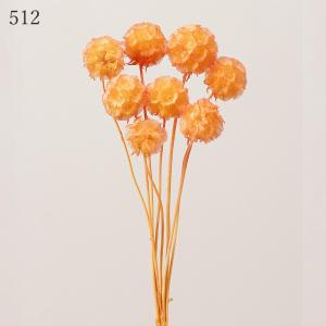ドライフラワー 花材 即日出荷 ステルンクーゲ...の詳細画像5