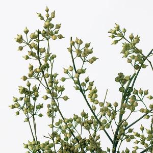 ドライフラワー 花材 即日出荷 ユーカリ・エキ...の詳細画像1