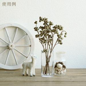 ドライフラワー 花材 即日出荷 アンバーナッツ...の詳細画像5