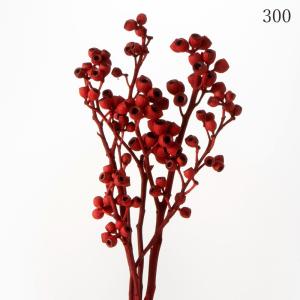 ドライフラワー 花材 即日出荷 アンバーナッツ...の詳細画像2