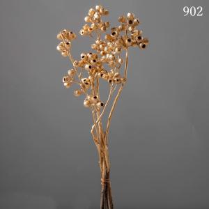ドライフラワー 花材 即日出荷 アンバーナッツ...の詳細画像3