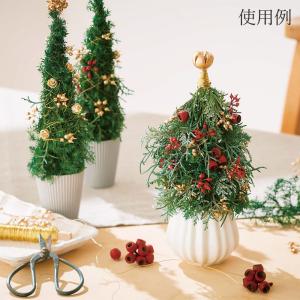 ドライフラワー 花材 即日出荷 アンバーナッツ...の詳細画像5