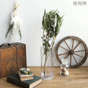 ドライフラワー 花材 即日出荷 ユーカリ・グロ...の詳細画像4