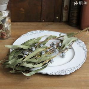 ドライフラワー 花材 即日出荷 ユーカリ・グロ...の詳細画像5