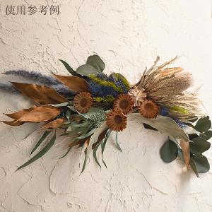 ドライフラワー 花材 即日出荷 コンパクター ...の詳細画像5