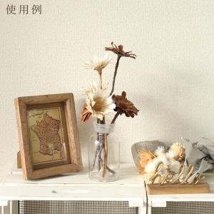 ドライフラワー 花材 即日出荷 リペンス・ロゼ...の詳細画像5