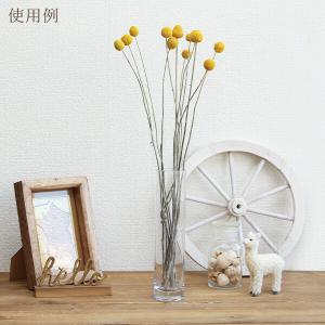 ドライフラワー 花材 即日出荷 ビリーボタン・...の詳細画像4