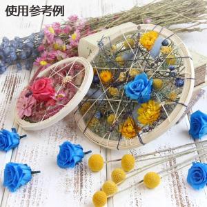 ドライフラワー 花材 即日出荷 ビリーボタン・...の詳細画像5