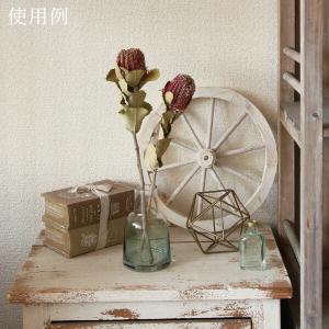 ドライフラワー 花材 即日出荷 バンクシャ・コ...の詳細画像4