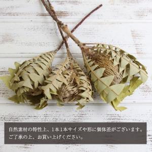 ドライフラワー 花材 即日出荷 特価 バンクシ...の詳細画像2