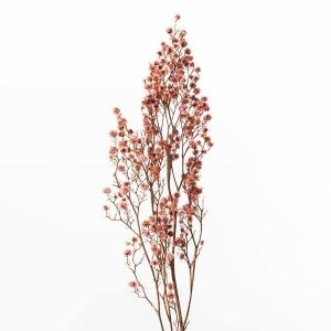 スワッグ 材料の商品一覧 通販 Yahoo ショッピング