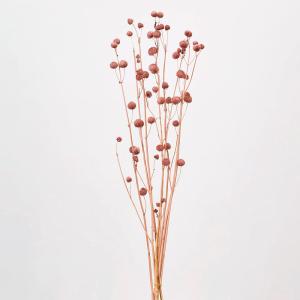 ドライフラワー 花材 即日出荷 ボンボンブランチ ミスティーピンク 花材 素材 パーツ 材料 ピンク くすみピンク 丸い ポンポン アレンジ 花束 卸 大地農園