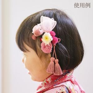 ドライフラワー 花材 即日出荷 ボンボンブラン...の詳細画像5