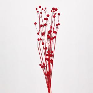 ドライフラワー 花材 即日出荷 ボンボンブランチ レッド 花材 素材 パーツ 材料 赤 丸い ポンポン アレンジ 花束 ブーケ 迎春 和風 しめ縄 プリ 大地農園