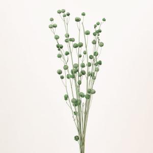 ドライフラワー 花材 即日出荷 ボンボンブランチ コバルトグリーン 花材 素材 パーツ 材料 緑 グリーン 丸い ポンポン アレンジ 花束 ブーケ DIY 大地農園