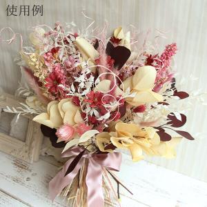 ドライフラワー 花材 即日出荷 ポアプランツ ...の詳細画像2