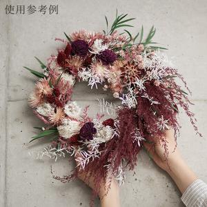 ドライフラワー 花材 即日出荷 ポアプランツ ...の詳細画像2