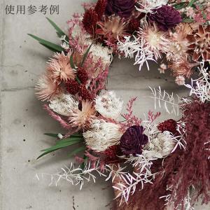 ドライフラワー 花材 即日出荷 ポアプランツ ...の詳細画像3