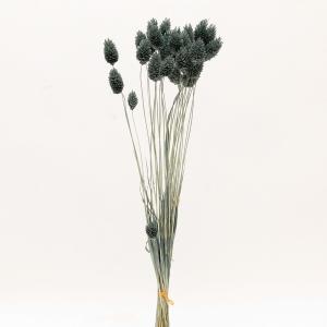 ドライフラワー 花材 即日出荷 FM小麦 オフホワイト 麦 小麦 少量