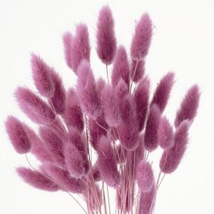 ドライフラワー 花材 即日出荷 【45%OFF...の詳細画像1