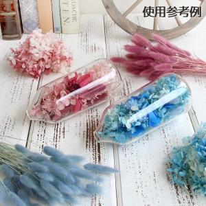 ドライフラワー 花材 即日出荷 【45%OFF...の詳細画像5