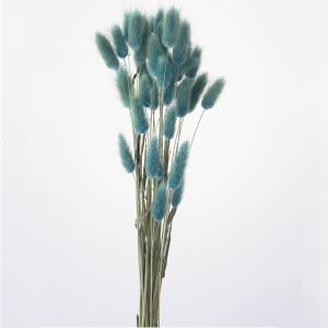 ドライフラワー 花材 即日出荷 【45%OFF】 期間限定特価 ラグラス ターコイズ 穂 ドライフラワー スワッグ ブーケ ドライフラワー花束 リース DIY 大地農園