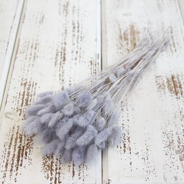 ドライフラワー 花材 即日出荷 ハニーテール エンジェルパープル 穂 ドライフラワー スワッグ ブー...